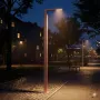 Паркова опора LF-ALV ARKON 5м
